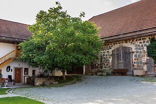 Bauernhofurlaub im Passauer Land